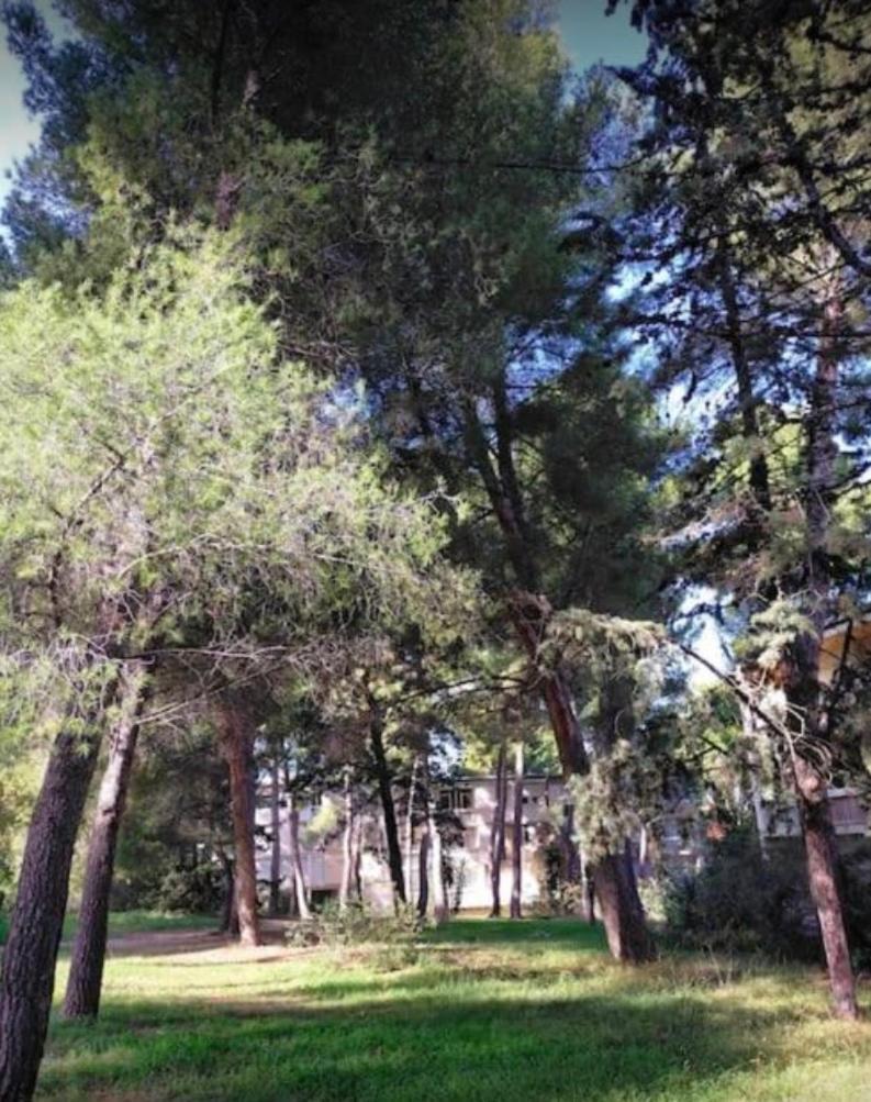 Studio Marseille Calanques エクステリア 写真