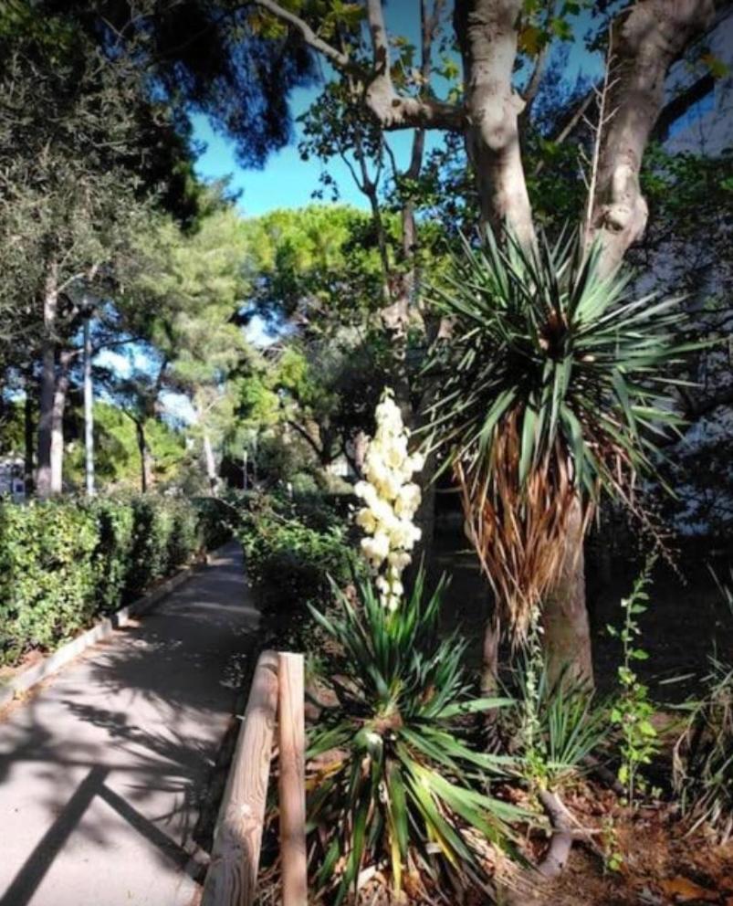 Studio Marseille Calanques エクステリア 写真